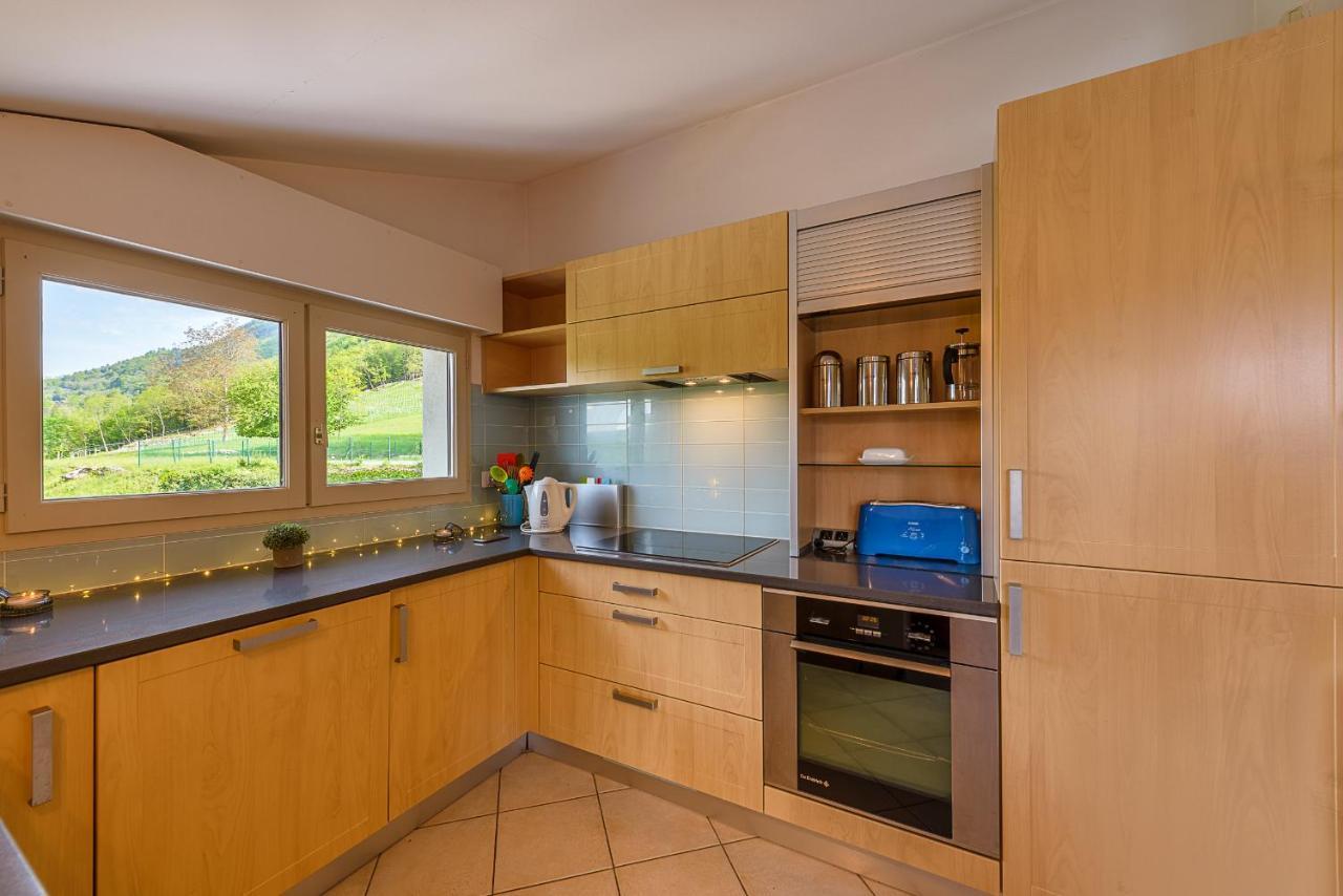 L'Hermitage, 3 Appartements Avec Terrasse, Vue Lac, Parking Et Piscine, Lla Selections By Location Lac Annecy Talloires Exterior foto